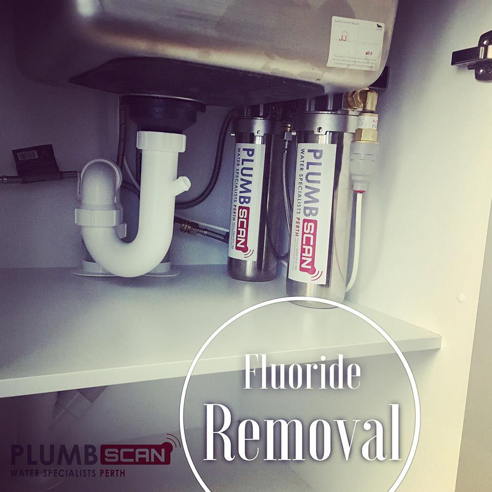 Fluoride Removal Filter